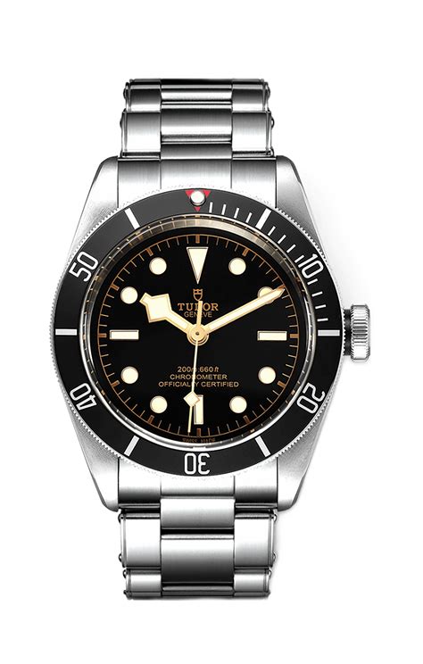 tudor black bay reference 79230n|tudor black bay price.